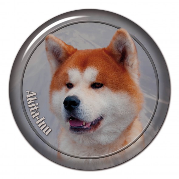 Akita Inu