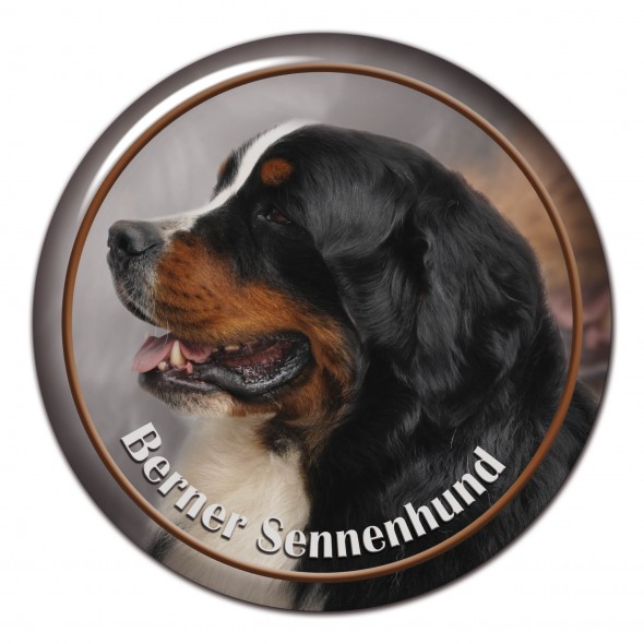 Berner Seenenhund