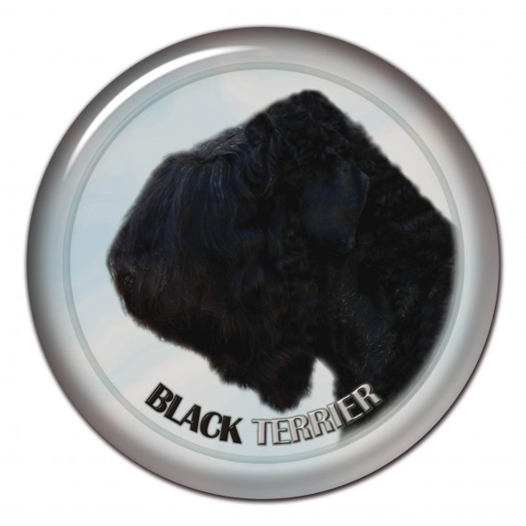 Black Terrier