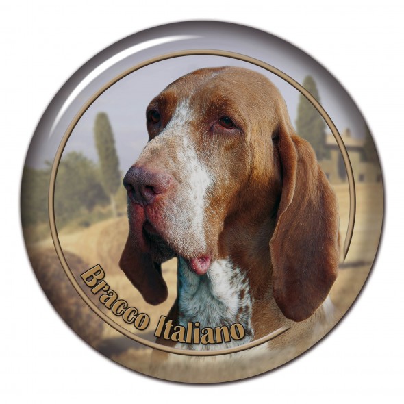 Bracco Italiano