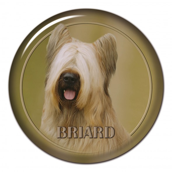 Briard