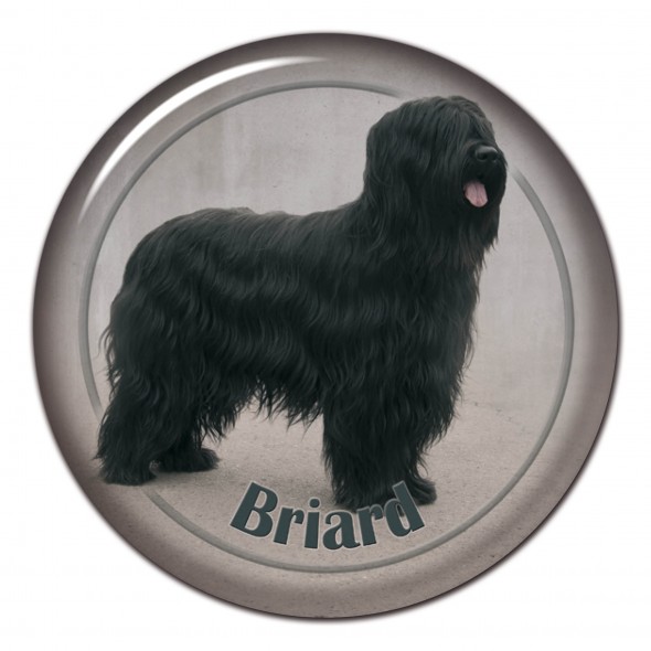 Briard