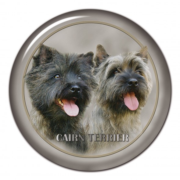 Cairn Terrier