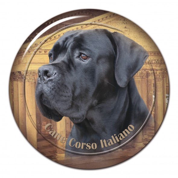 Cane Corso