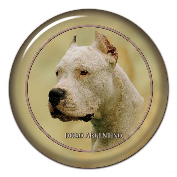 Dogo Argentino