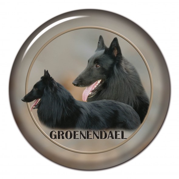 Groenendael