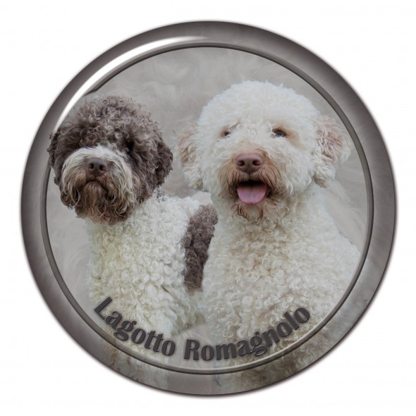 Lagotto Romagnolo