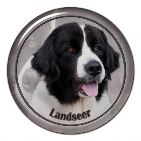 Landseer