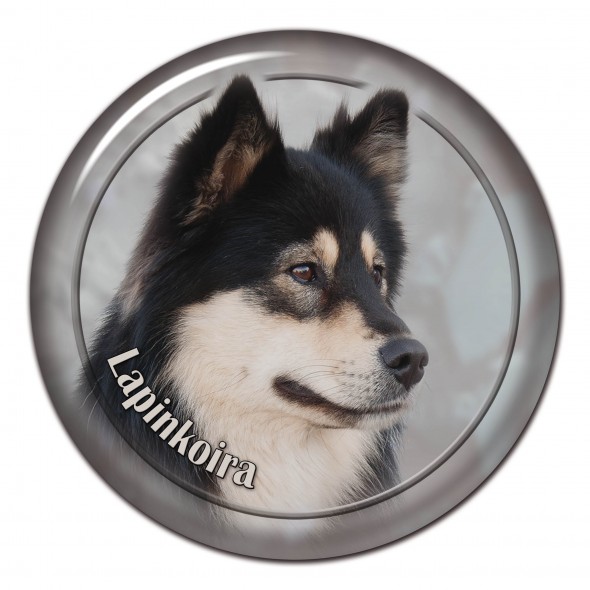 Finnish Lapphund