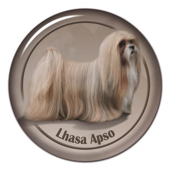 Lhasa Apso