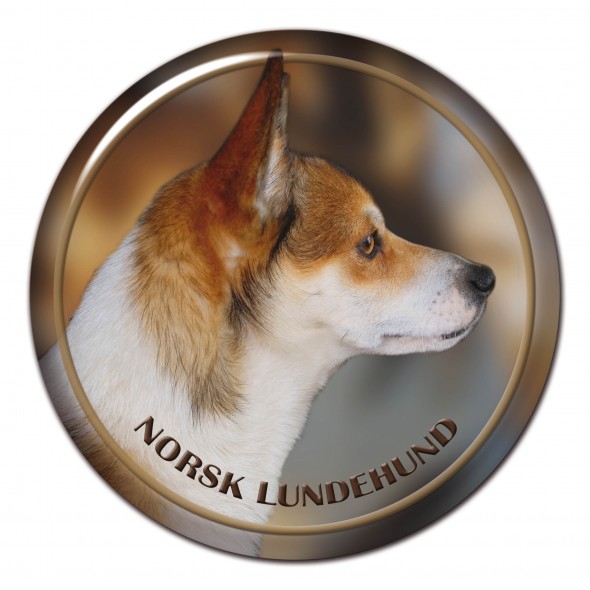 Norwegian Lundehund