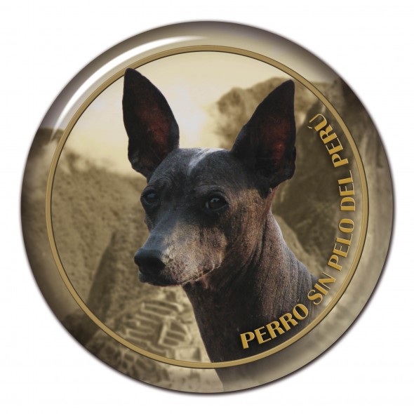 Peruvian Hairless Dog