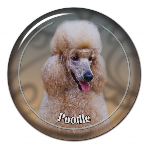 Poodle