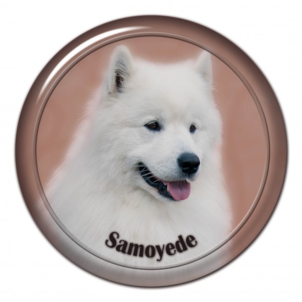 Samoyede