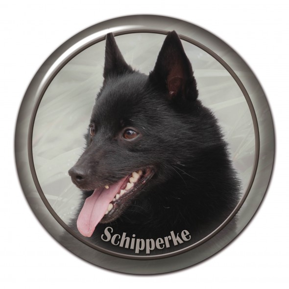 Schipperke