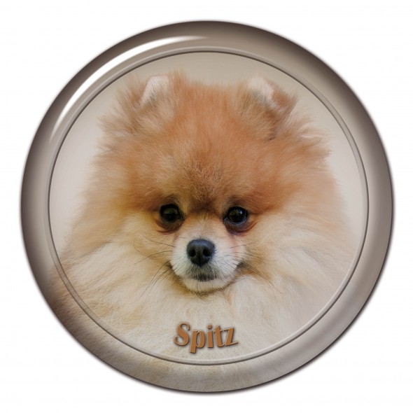 German Spitz