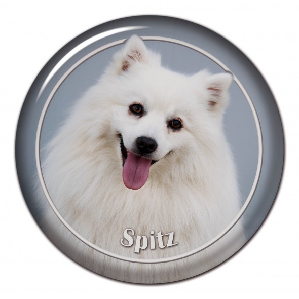 German Spitz