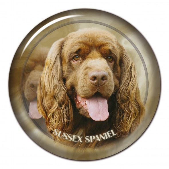 Sussex Spaniel