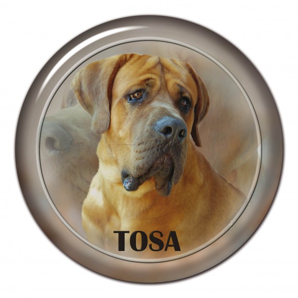 Tosa