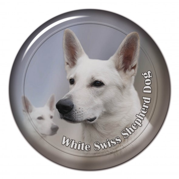 White Swiss Shepherd Dog