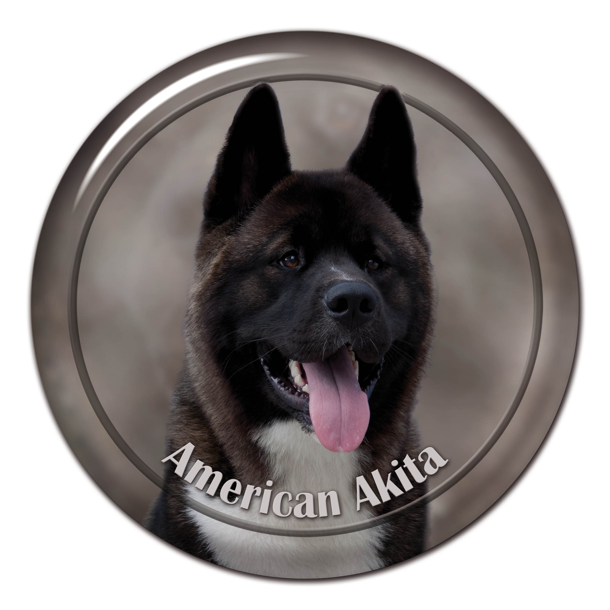 Akita 101 2025