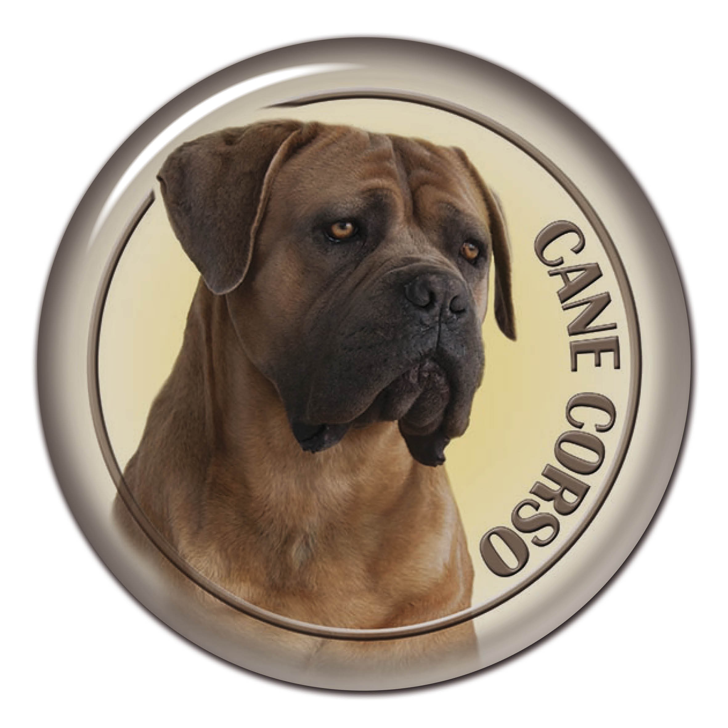 3d Sticker Cane Corso 103 C From Alldogstickers Com Dog Breed Stickers Not Only For Your Car