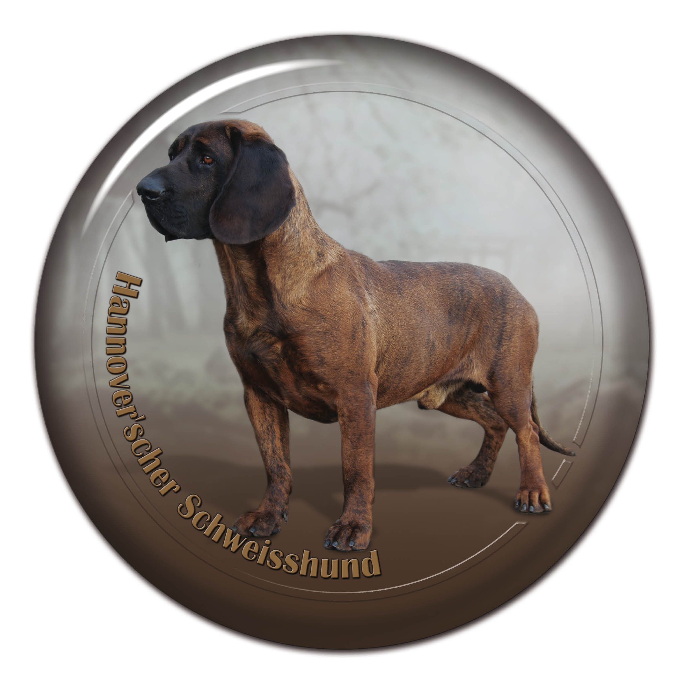 3d Sticker Hannoverscher Schweisshund 101 C From Alldogstickers Com Dog Breed Stickers Not Only For Your Car