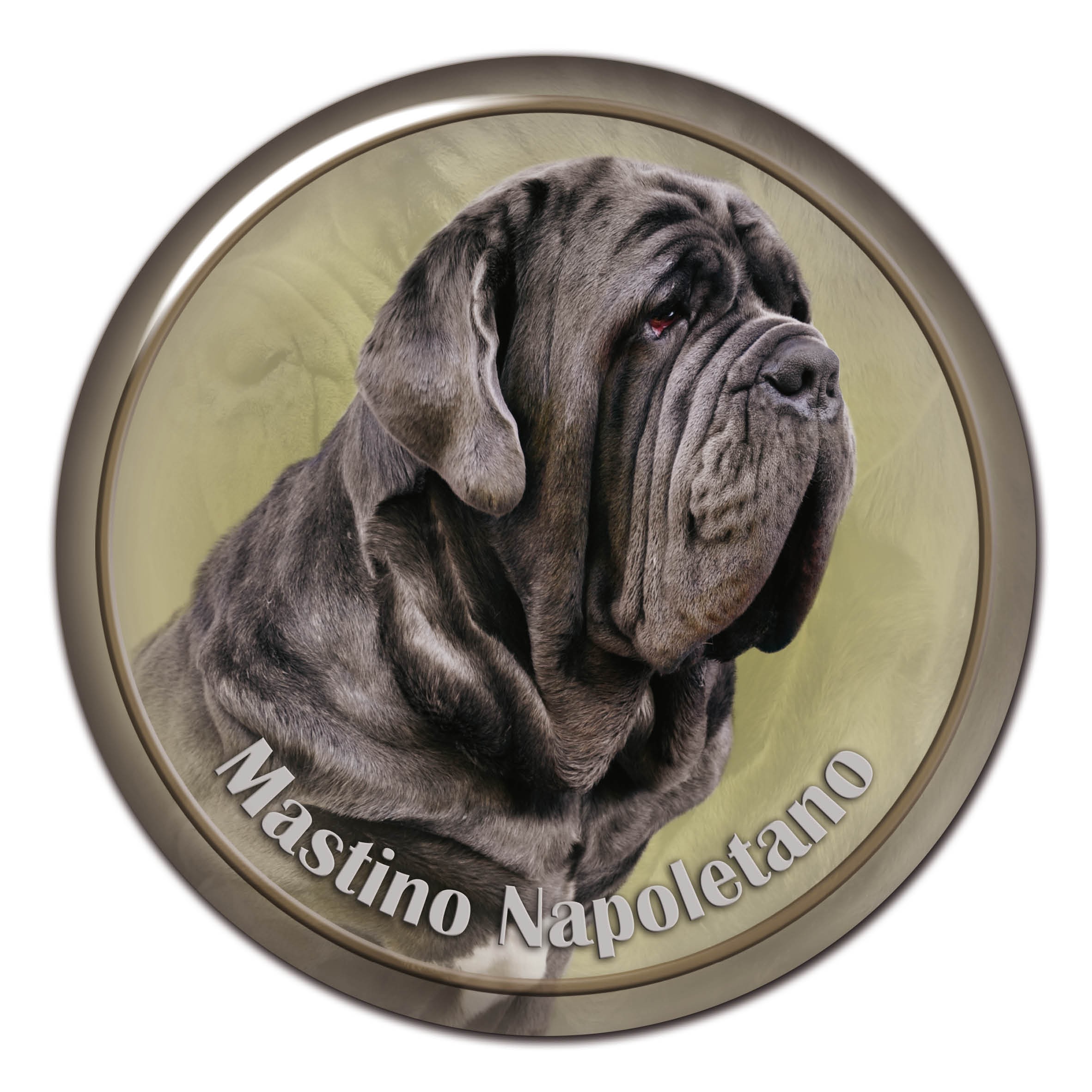 3D sticker Mastino Napoletano 101 C from AllDogStickers dog