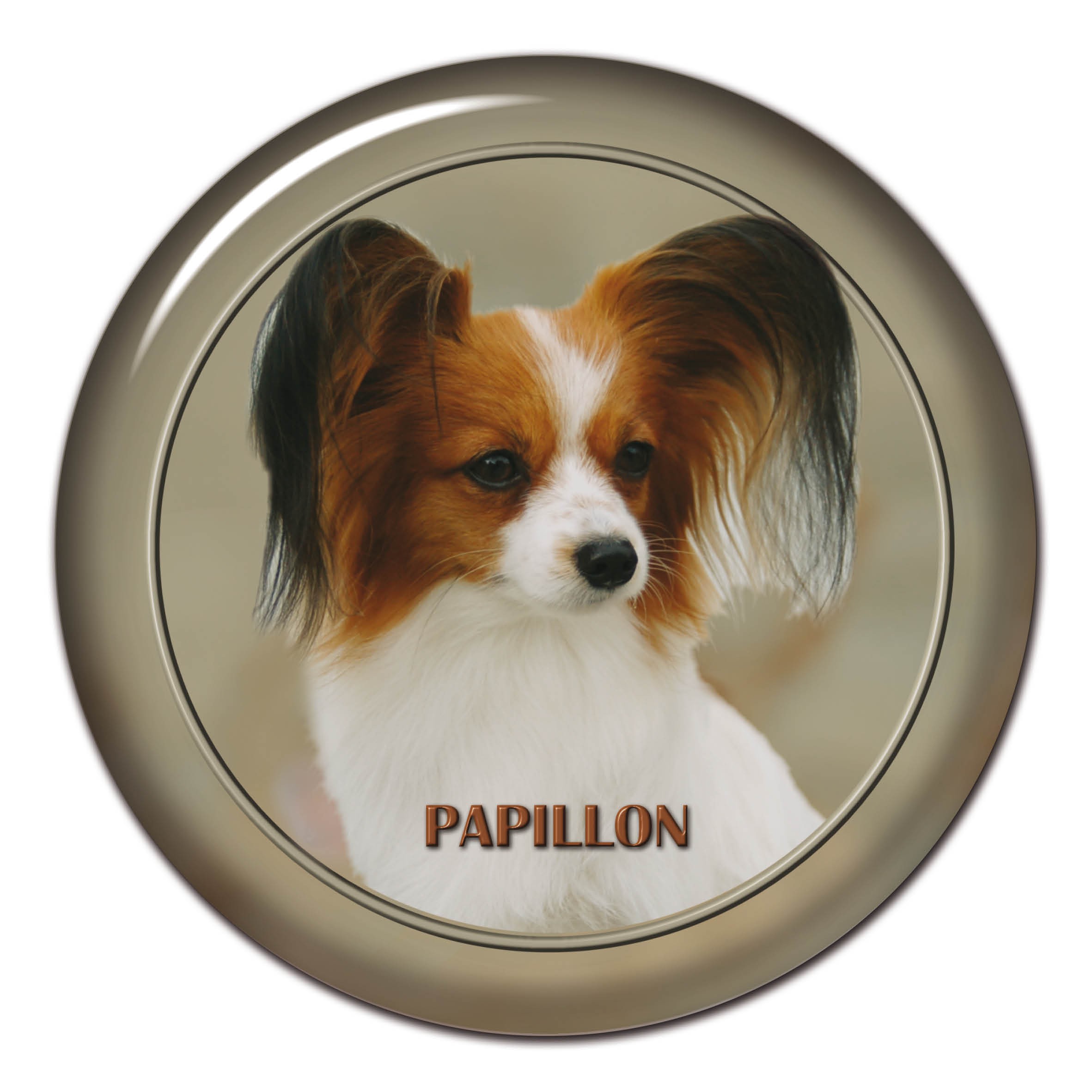 lave et eksperiment Indica historie 3D sticker Papillon 101 C from AllDogStickers.com - dog breed stickers not  only for your car.