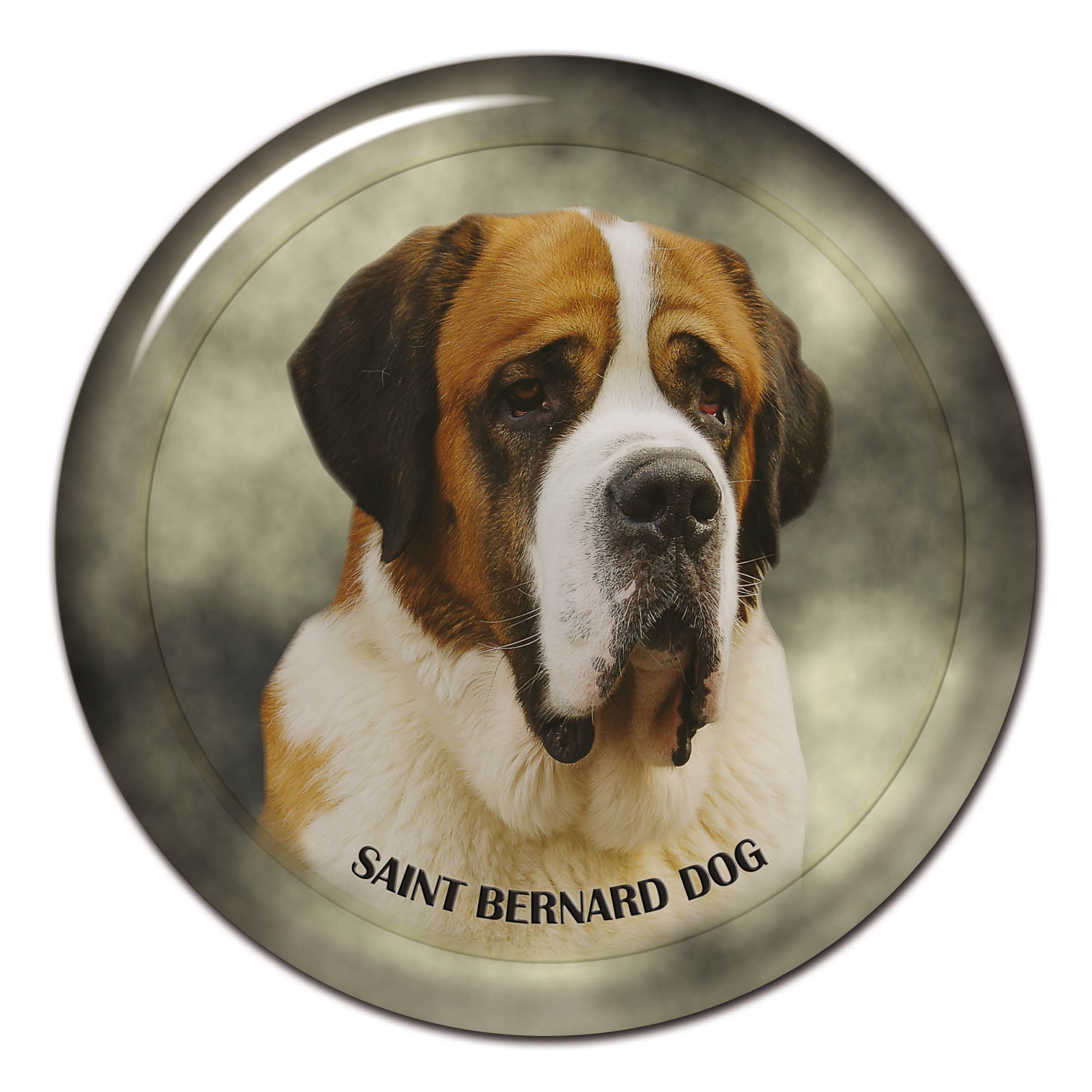 Saint shop bernard 101