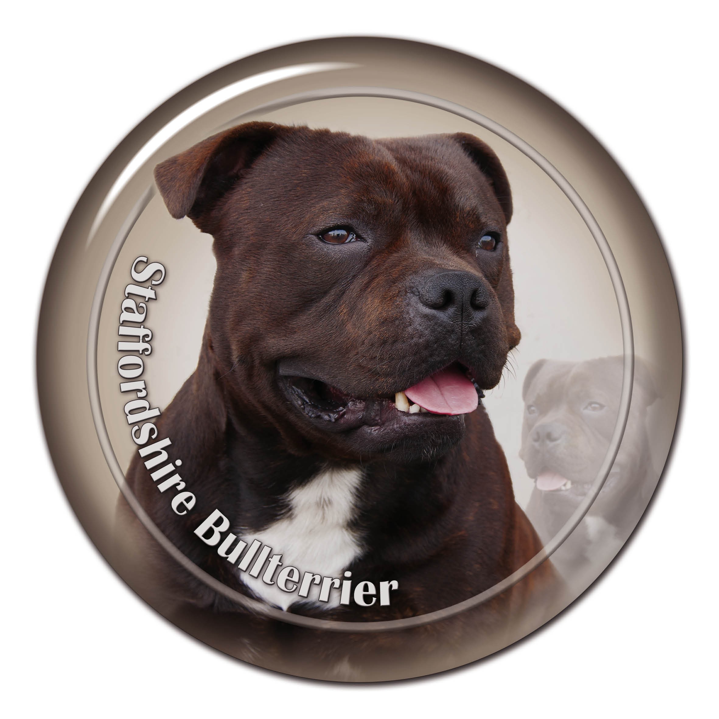 Staffordshire bull terrier 101 best sale