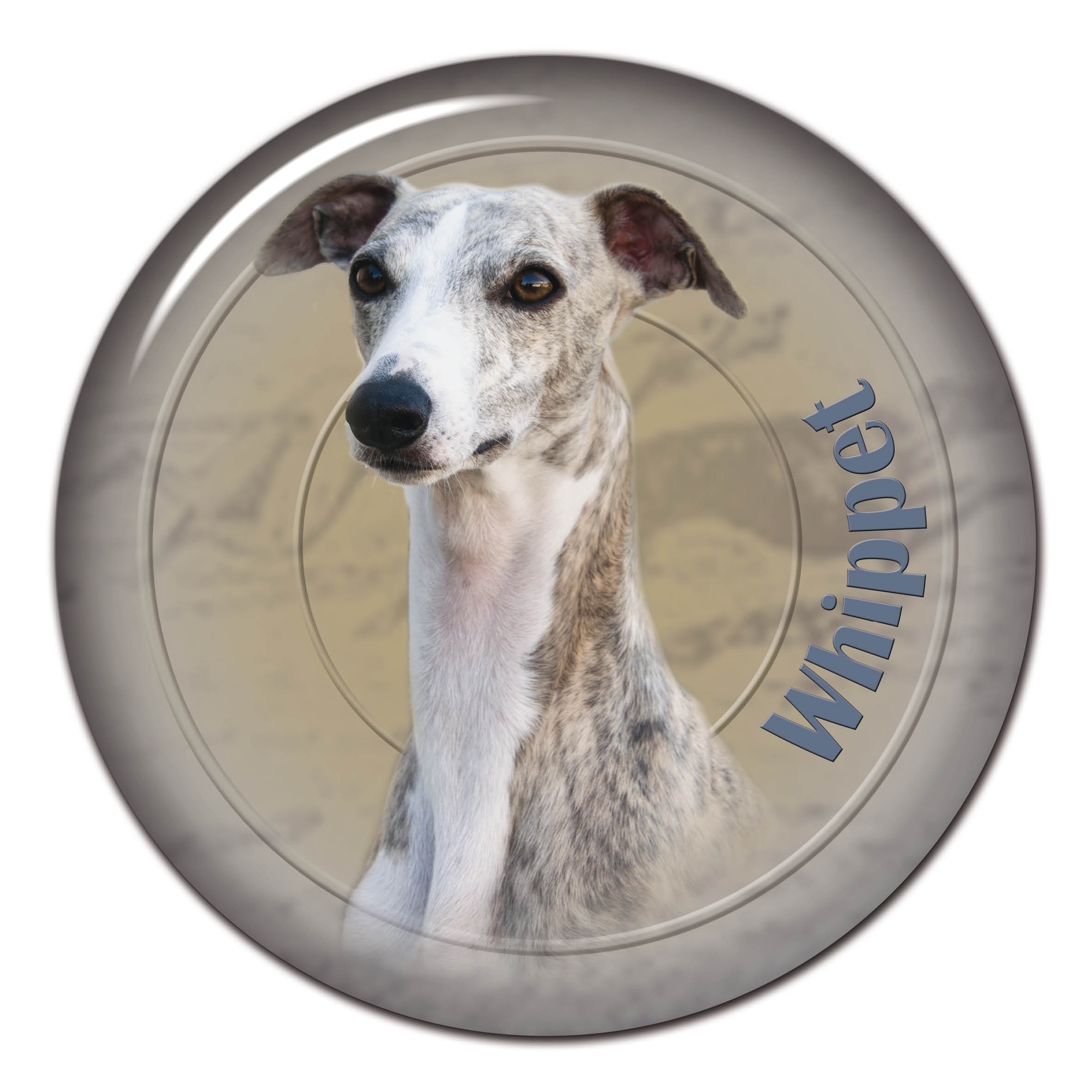 3D sticker Whippet 101 C from AllDogStickers.com - dog ...
