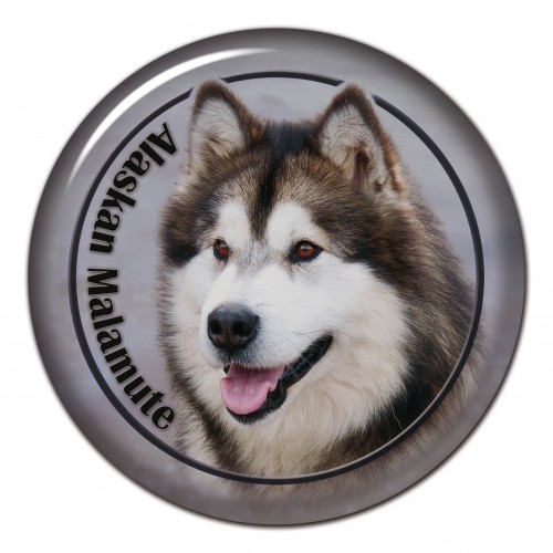 3D sticker Alaskan Malamute 102 C