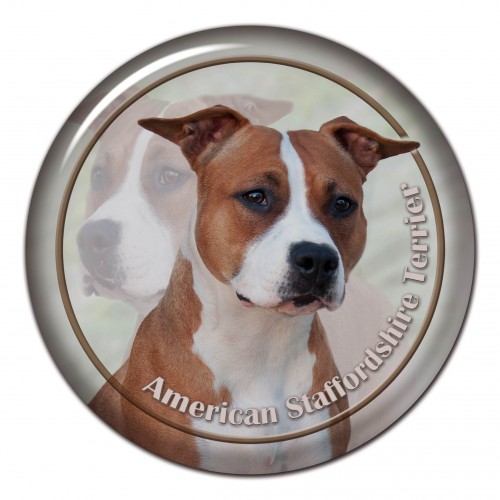 3D sticker American Staffordshire Terrier 102 C