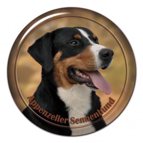 3D sticker Appenzeller Seenenhund 101 C