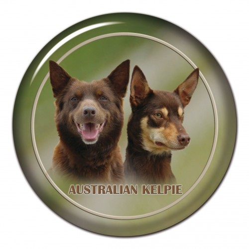 3D sticker Australian Kelpie 101 C