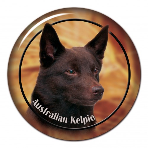 3D sticker Australian Kelpie 102 C