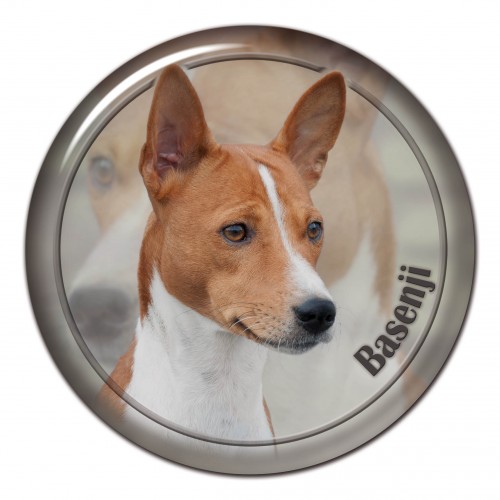 3D sticker Basenji 101 C