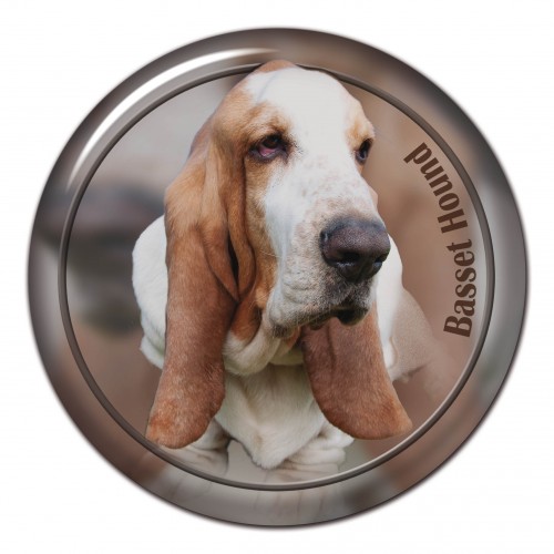 3D sticker Bassethound 101 C