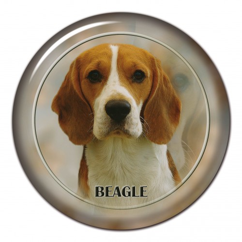 3D sticker Beagle 101 C