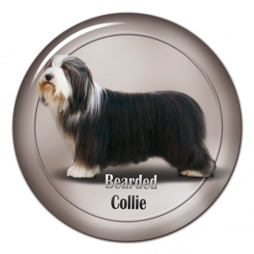 3D sticker Bearded Collie 103 C