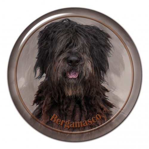 3D sticker Bergamasco 101 C