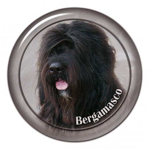 3D sticker Bergamasco 102 C