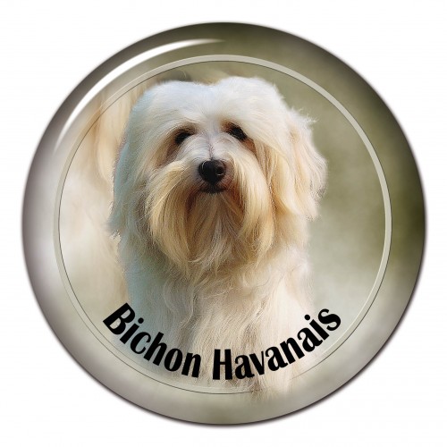 3D sticker Bichon Havanais 101 C