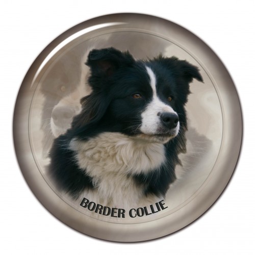 3D sticker Border Collie 101 C