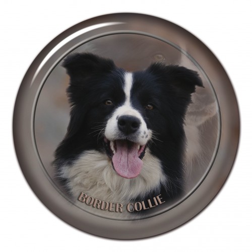 3D sticker Border Collie 102 C