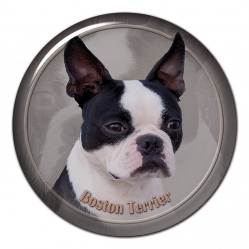 3D sticker Boston Terrier 101 C