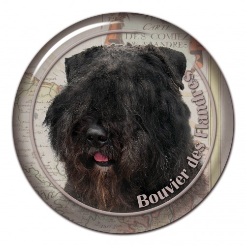 3D sticker Bouvier Des Flandres 102 C