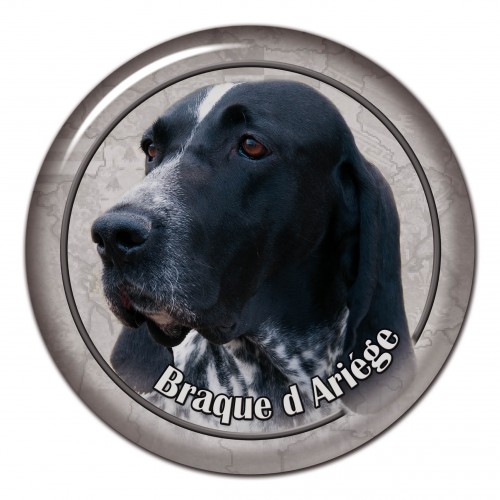 3D sticker Braque D Ariege 101 C