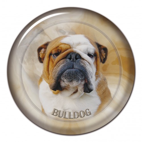 3D sticker Bulldog 102 C